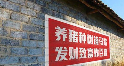 中国农村互联网发展远超西方,“下乡淘金”蕴藏机遇-最极客