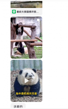 破除信息茧房,需要平衡“个人信息”和“推荐算法”的联动效应-最极客