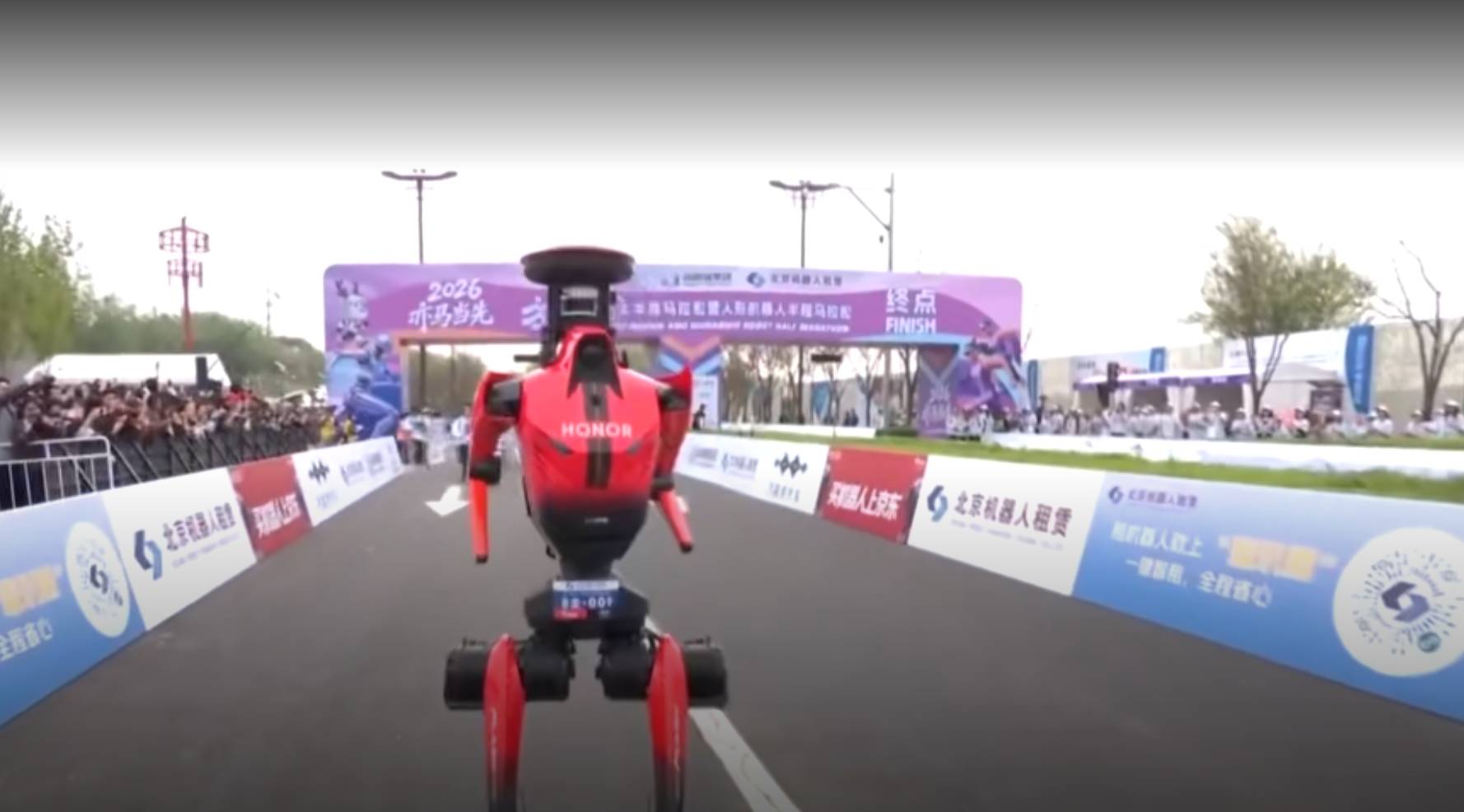 打破世界纪录！荣耀机器人包揽半马冠亚季军