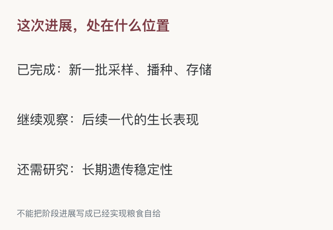 太空收获的稻种又播下了，下一代能长好吗-最极客