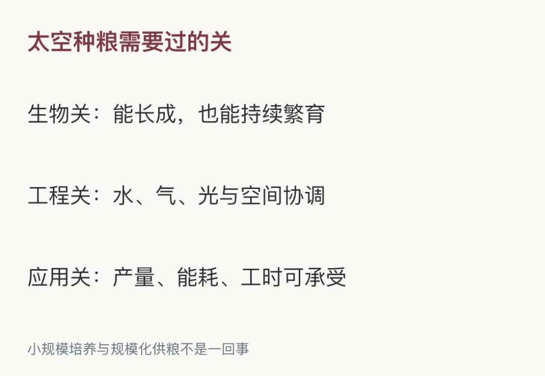 太空收获的稻种又播下了，下一代能长好吗-最极客